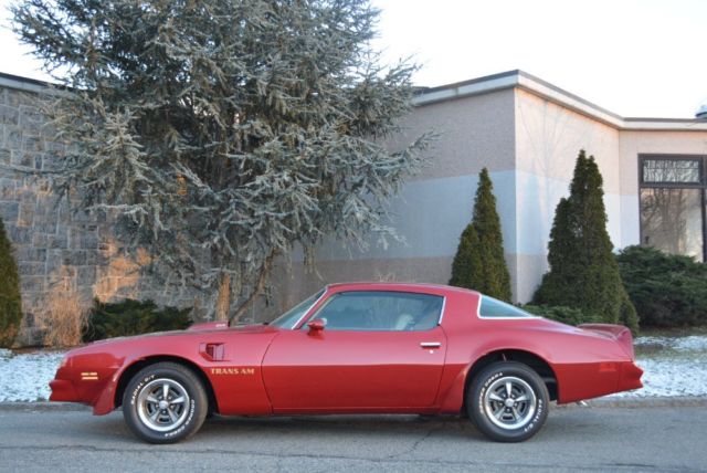 1976 Pontiac Trans Am - photo 7