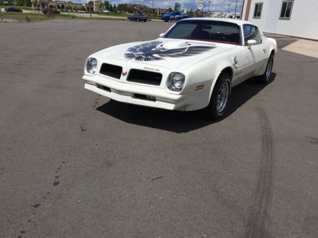 1976 Pontiac Trans Am - photo 8