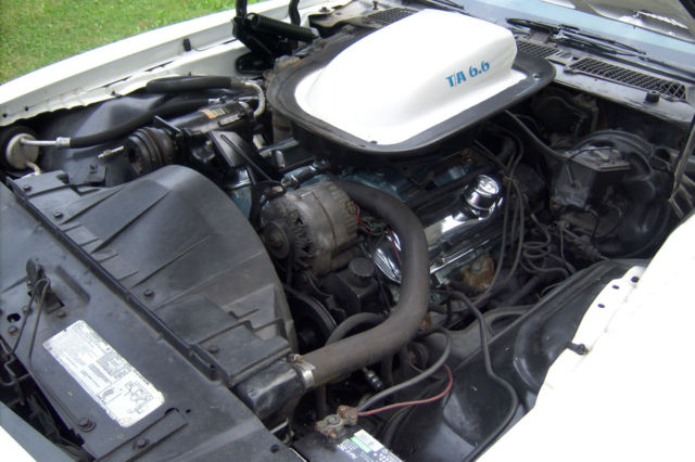 1976 Pontiac Firebird - photo 12