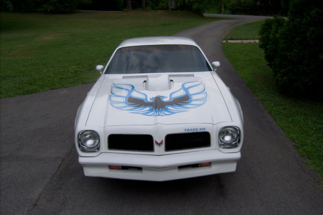 1976 Pontiac Firebird - photo 2