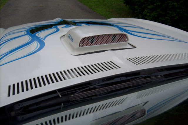 1976 Pontiac Firebird - photo 8