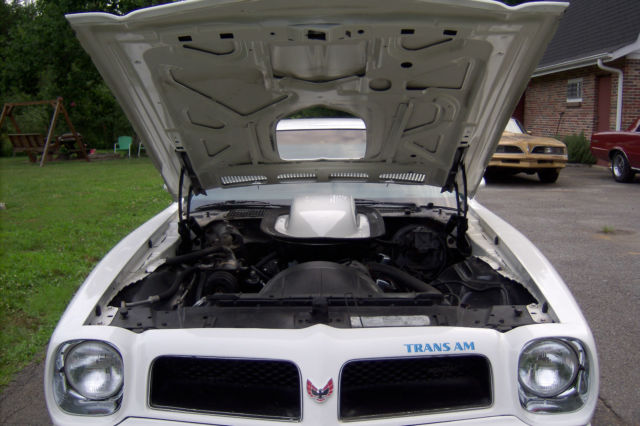 1976 Pontiac Firebird - photo 9