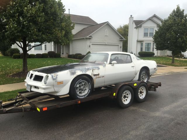 1976 Pontiac Trans Am - photo 2