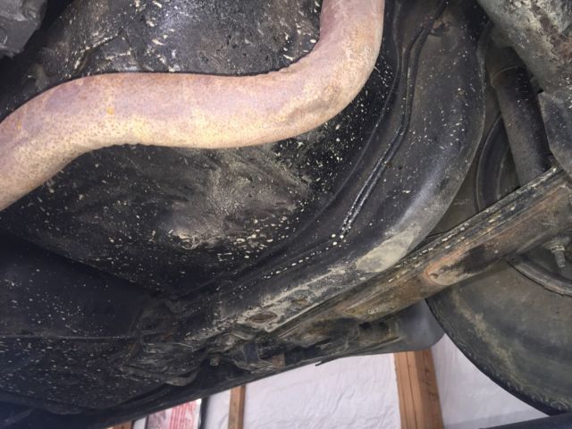 1976 Pontiac Trans Am Trans Am - photo 11