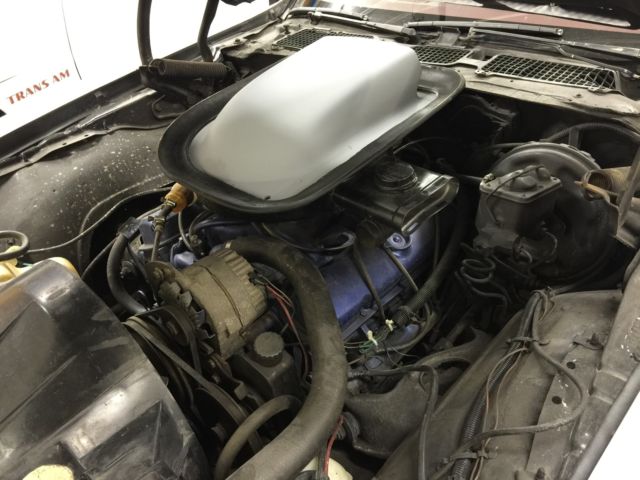 1976 Pontiac Trans Am Trans Am - photo 7