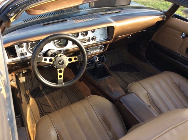 1976 Pontiac Trans Am - photo 10