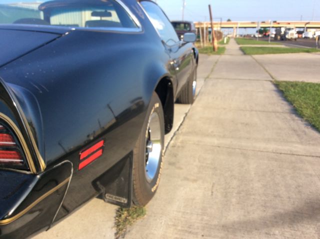 1976 Pontiac Trans Am - photo 12