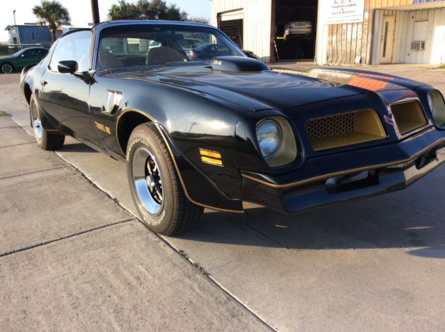 1976 Pontiac Trans Am - photo 4