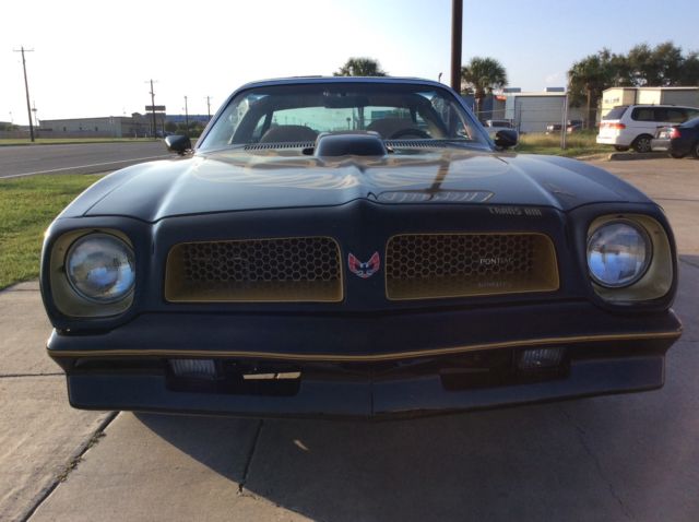 1976 Pontiac Trans Am - photo 5
