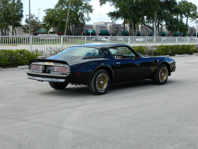 1976 Pontiac Trans Am WS4 - photo 10