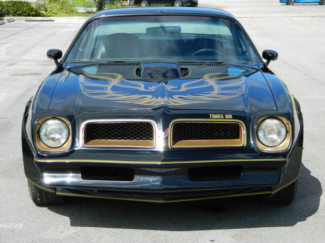 1976 Pontiac Trans Am WS4 - photo 3