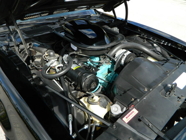 1976 Pontiac Trans Am WS4 - photo 8