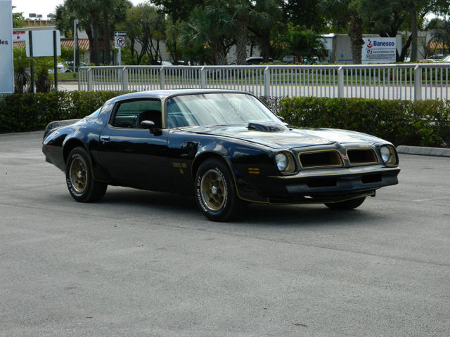 1976 Pontiac Trans Am WS4 - photo 9