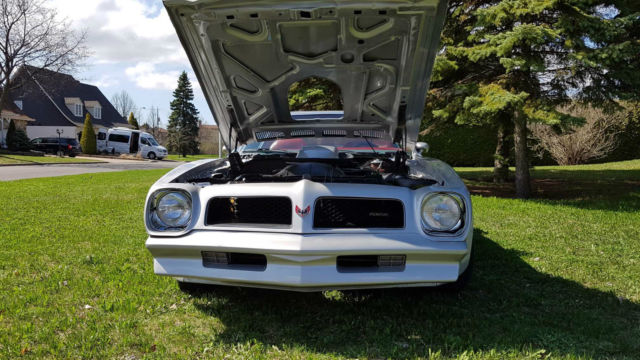 1976 Pontiac Trans Am T/A - photo 7