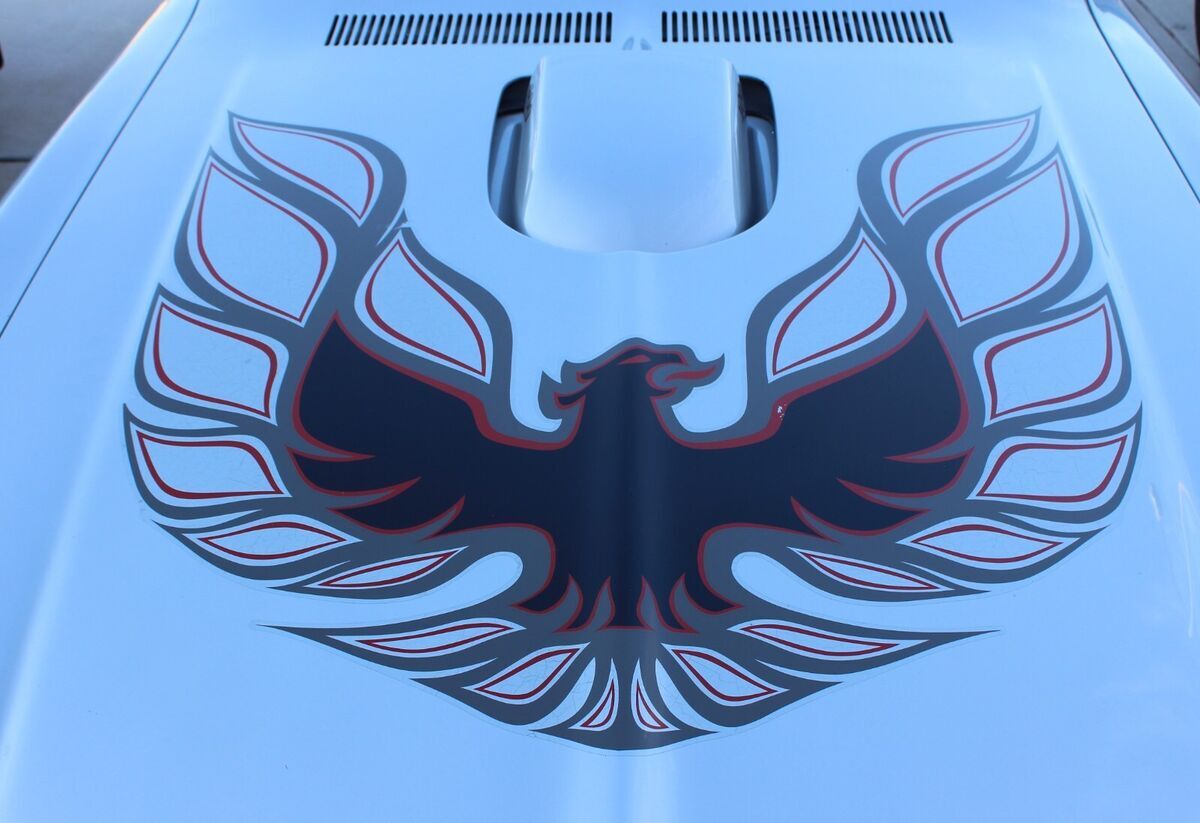 1976 Pontiac Trans Am - photo 10