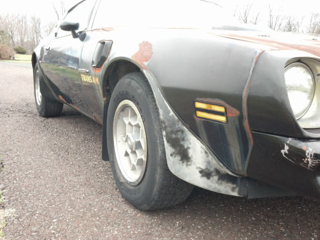 1976 Pontiac Trans Am - photo 11