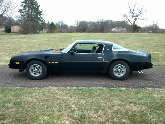 1976 Pontiac Trans Am - photo 2