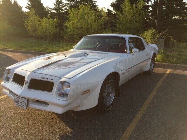 1976 Pontiac Trans Am 2d coupe - photo 6