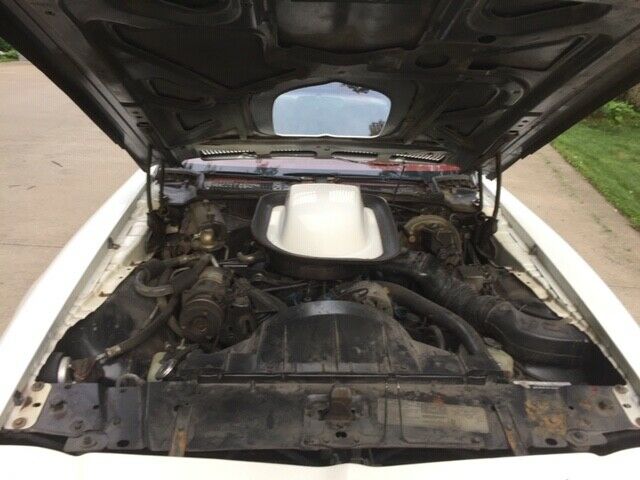 1976 Pontiac Trans Am 2d coupe - photo 9