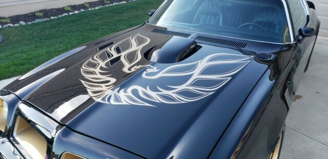 1976 Pontiac Trans Am - photo 13
