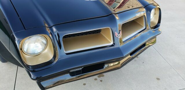 1976 Pontiac Trans Am - photo 5