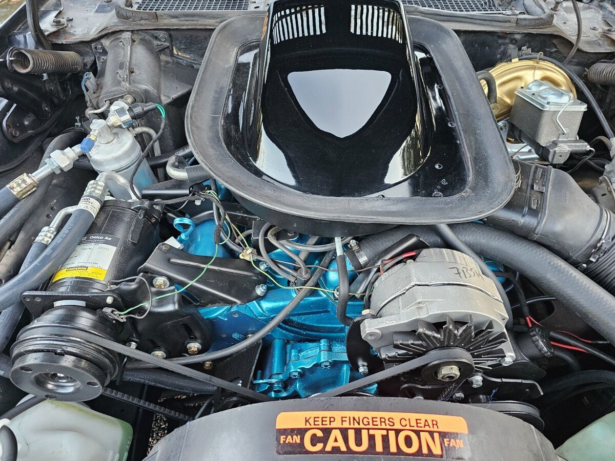1976 Pontiac Firebird trans am - photo 2