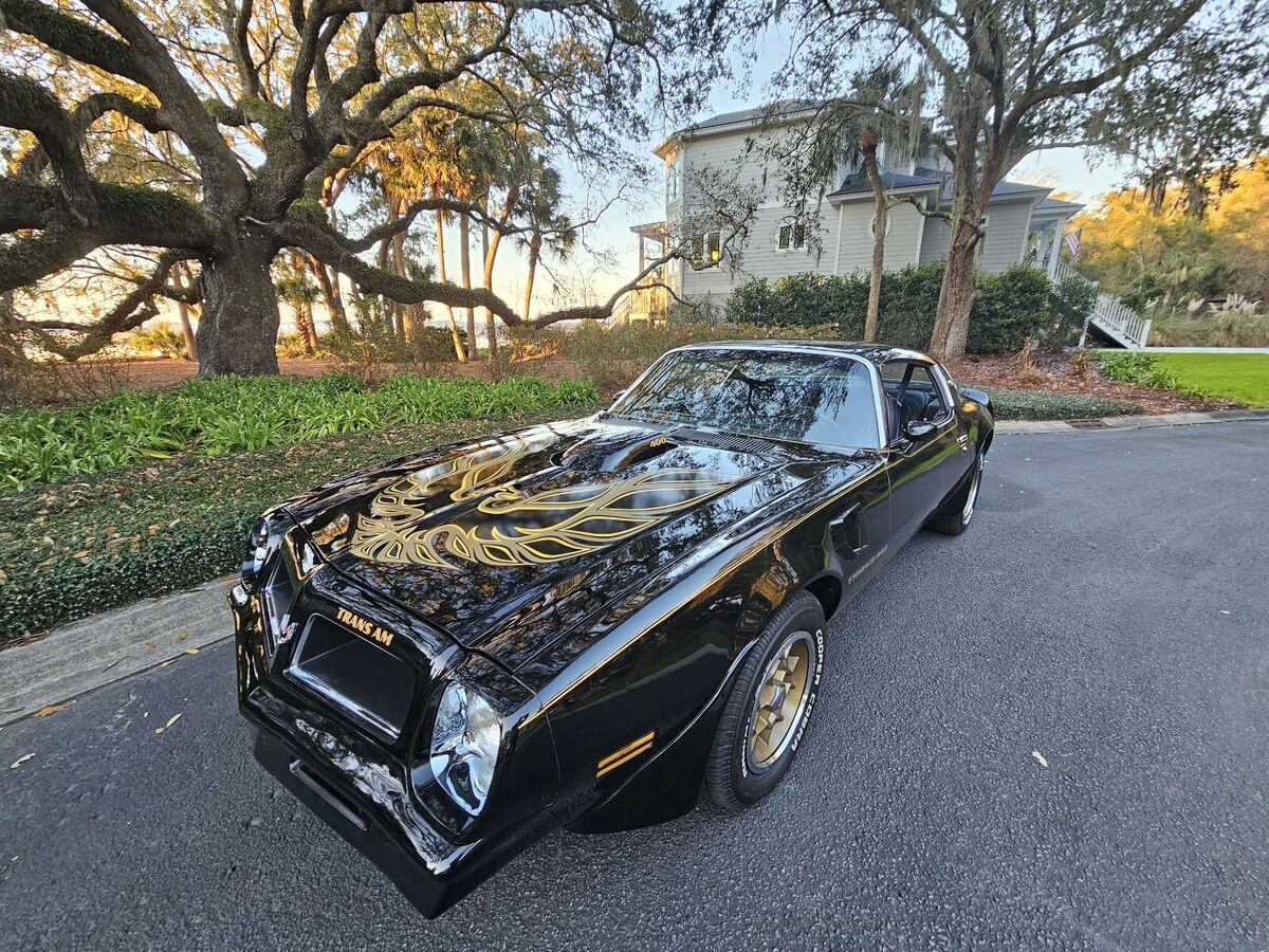 1976 Pontiac Firebird trans am - photo 6