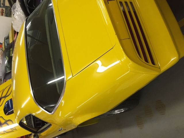 1976 Pontiac Firebird - photo 9