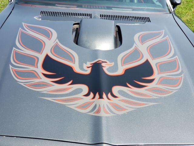1976 Pontiac Trans Am Crome, Black, Grey - photo 2