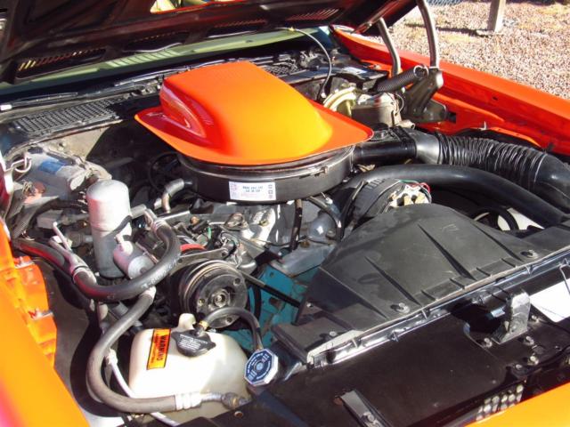 1976 Pontiac Trans Am Custom trim group - photo 5