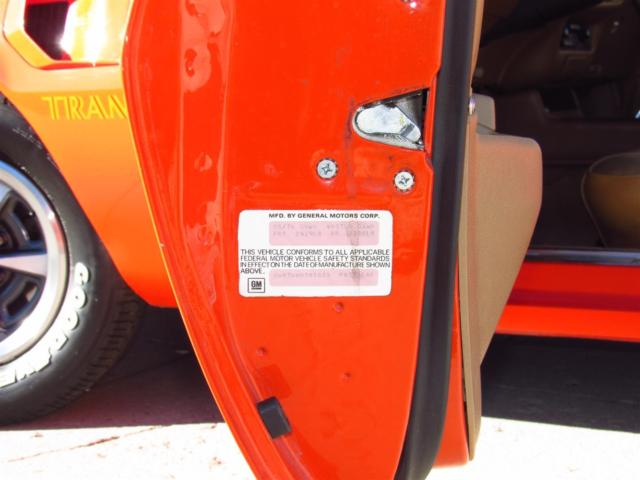 1976 Pontiac Trans Am Custom trim group - photo 7