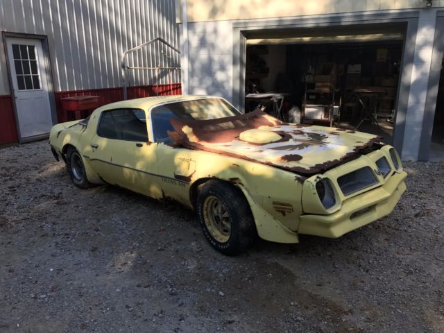 1976 Pontiac Trans Am - photo 2