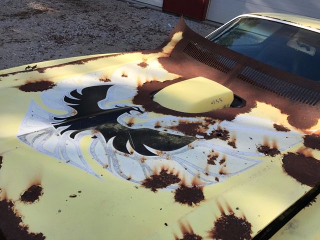 1976 Pontiac Trans Am - photo 5
