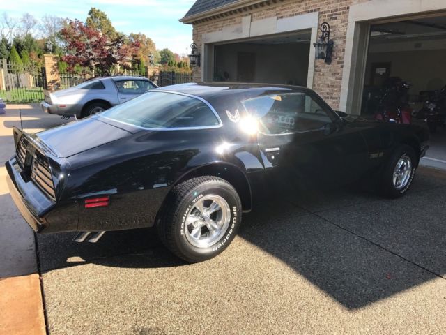 1976 Pontiac Firebird trans am - photo 10