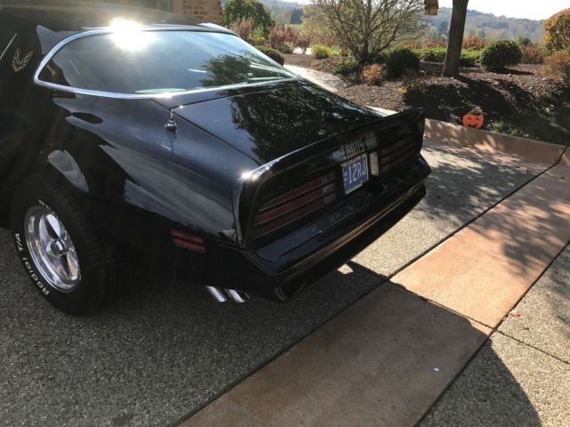 1976 Pontiac Firebird trans am - photo 3