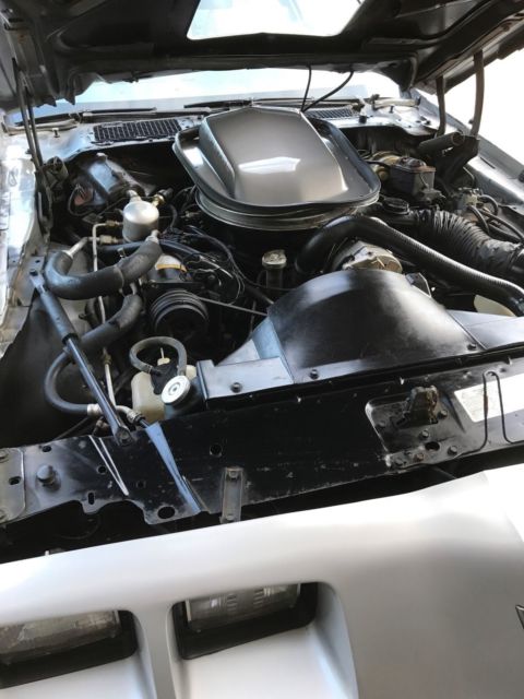 1976 Pontiac Firebird trans am - photo 5
