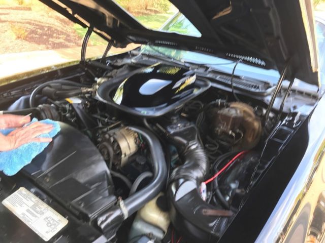 1976 Pontiac Firebird trans am - photo 6