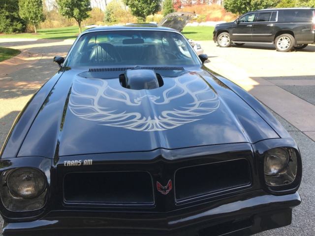1976 Pontiac Firebird trans am - photo 9