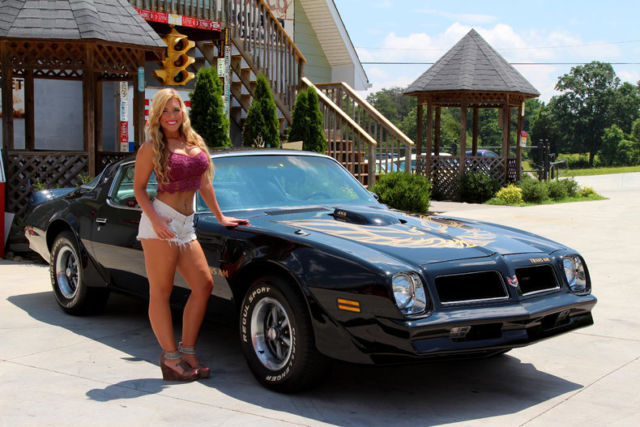1976 Pontiac Trans AM 455 FREE SHIPPING Four Speed Power Disc Brakes PS PDB 1976 Pontiac Trans Am