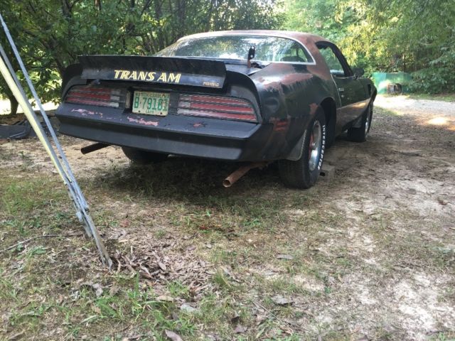 1976 Pontiac Trans Am - photo 4