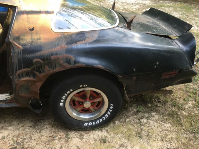 1976 Pontiac Trans Am - photo 8