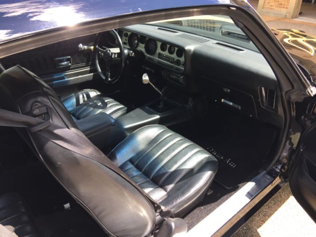 1976 Pontiac Trans Am - photo 10