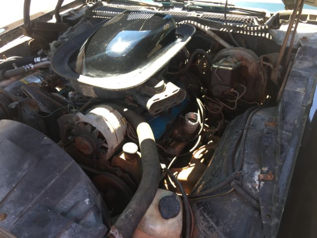1976 Pontiac Trans Am Trans Am - photo 12