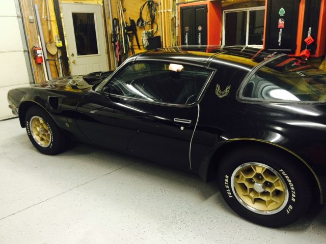 1976 Pontiac Trans Am Trans Am - photo 13
