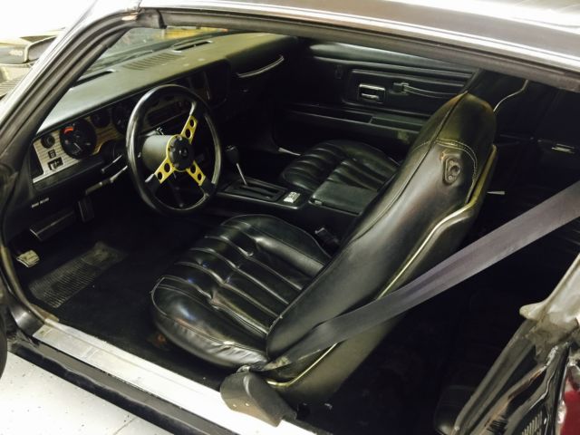 1976 Pontiac Trans Am Trans Am - photo 7