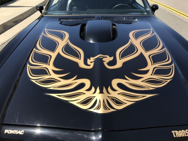 1976 Pontiac Trans Am Special Edition Trans Am - photo 6