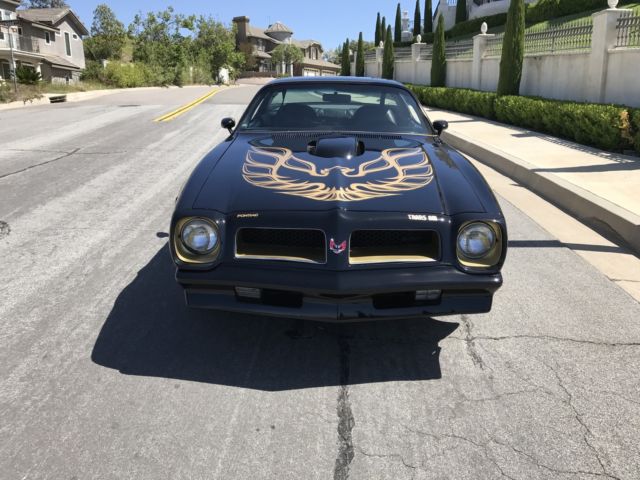 1976 Pontiac Trans Am Special Edition Trans Am - photo 7