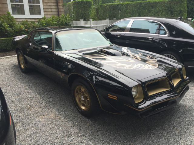 1976 Pontiac Trans Am 50th Anniversary Special Edition - photo 3