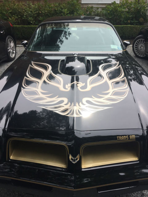 1976 Pontiac Trans Am 50th Anniversary Special Edition - photo 4