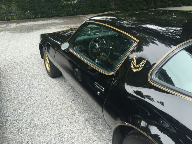 1976 Pontiac Trans Am 50th Anniversary Special Edition - photo 9